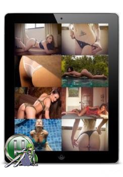 Обои для рабочего стола 19