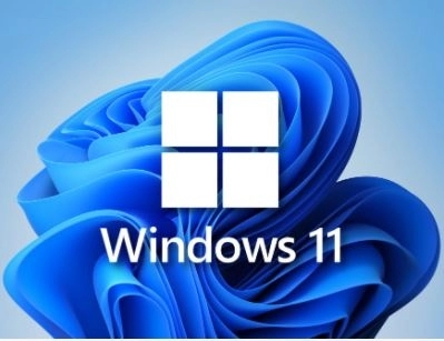 Windows 11 16in1 +/- x86 Office 2019 by SmokieBlahBlah 2022.06.08