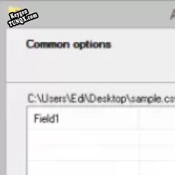 Регистрационный ключ к программе  Advanced CSV Converter