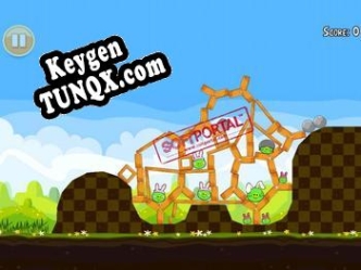 Регистрационный ключ к программе  Angry Birds Seasons HD