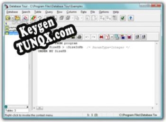 Database Tour Pro ключ активации