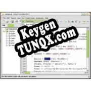 DzSoft Perl Editor генератор серийного номера