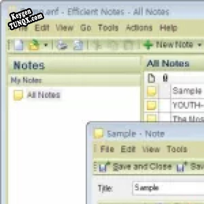 Ключ для Efficient Notes