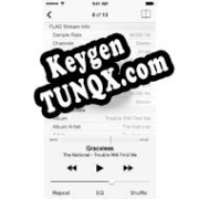Ключ для FLAC Player