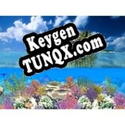 “Коралловый остров” – Анимированные Обои ключ бесплатно