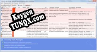 Регистрационный ключ к программе  Security Task Manager