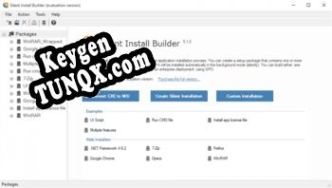 Silent Install Builder ключ активации