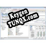 Sony ACID Music Studio Key генератор