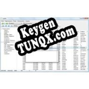 Key генератор для  StatWin Total