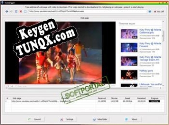 Бесплатный ключ для TubeDigger