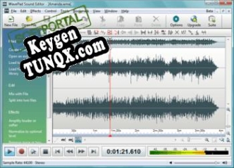 Key генератор для  WavePad