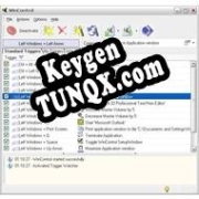 Регистрационный ключ к программе  WinControl