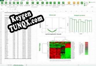 XLSTAT ключ активации