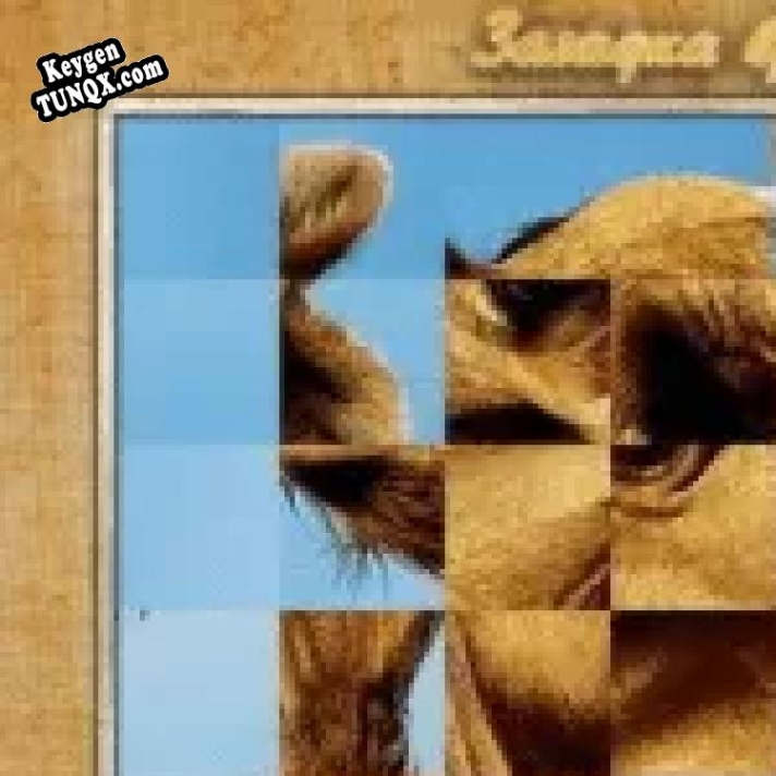 Генератор ключей (keygen)  Загадочный город. Каир